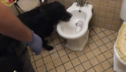 Lentini, pistola sotto il bidet e cartucce interrate: arrestata una donna