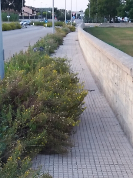 Siracusa: quartiere Pizzuta abbandonato e pericoloso