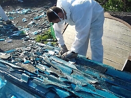 Amianto killer, a Siracusa l'incidenza più alta