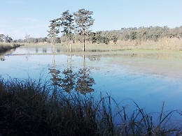 Esondazione del fiume Ippari: «Ricostituiremo l'argine di Buffa»