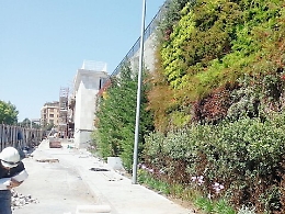 Catania, quasi pronto il “giardino verticale” al Tondo Gioeni: sarà videosorvegliato