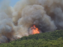 Indagini su incendi boschivi: siglato protocollo d'intesa
