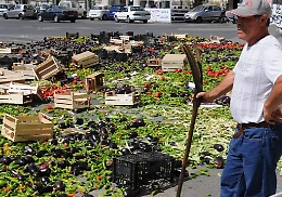 Agricoltura, presentata da Cgil, Cisl e Uil di Agrigento la piattaforma per il rinnovo del contratto in scadenza il 31 dicembre