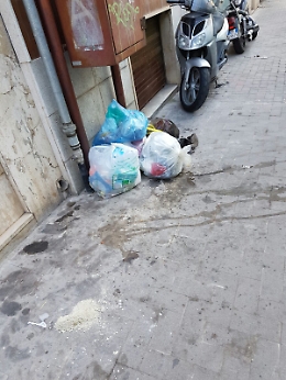 Che vergogna Catania piena di immondizia