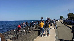 Tanti curiosi a Torre Archirafi per il recupero di una balenottera spiaggiata