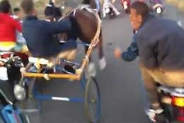 Catania: le corse clandestine, la mafia e le scommesse da 100 mila euro