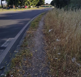 Ma quanto costa togliere un po' di erbacce e asfaltare 100 m. di marciapiede all'uscita delle metropolitana?