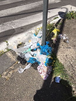 Catania, in via San Filippo Neri sparito il contenitore per le deiezioni canine