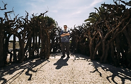 Alfio Bonanno, tra memoria e natura