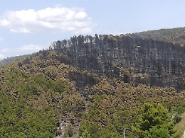 Incendi, imprenditore vuole “adottare” il bosco di Chiaramonte andato in fumo