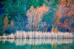 Fotografia, giochi di sguardi e di colori negli scatti di Giovanni Franco