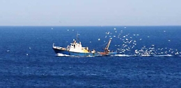 Il comandante del pescherecchio: «Così i tunisini ci hanno sparato ancora»