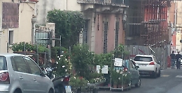 I fiorai potrebbero ornare così le strade di Catania