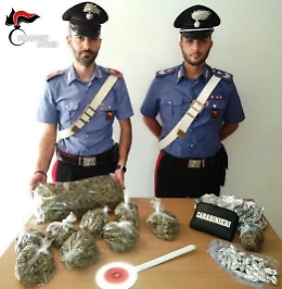 Catania, nel seminterrato di un condominio trovati tre chili di marijuana