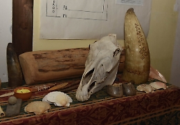 Le note del Medioevo riecheggiano a Randazzo dove vive il liutaio Giuseppe Severini