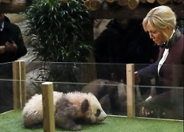 Brigitte Macron "battezza" baby panda nello zoo di Beauval