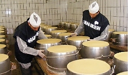 Francofonte, scoperto un caseificio abusivo, denunciati due coniugi