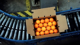 Il Made in Sicily conquista la Cina, l'export dell'Isola cresce del 212%