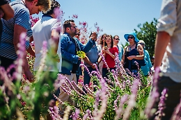 Scicli, nel vivaio del benessere creato da Enrico Russino