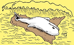 Disperati, malpancisti, imprenditori e uomini di cultura: chi e cosa c’è dietro il “cappotto” grillino