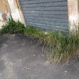 Il cortile Avveduto di Avola &egrave; sempre invaso dalle erbacce