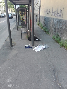 Via Lago di Nicito abbandonata all'incuria