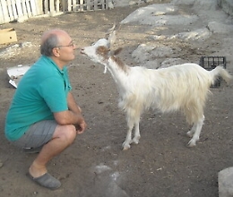 Il casaro che ha salvato la capra girgentana