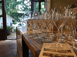 ViniMilo: Etna e Barolo, due vini, una sola passione