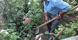 Evade da casa per innaffiare il giardino: anziano arrestato ad Agrigento