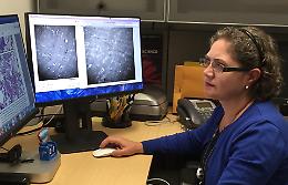 La luminare siciliana che salva i bimbi da infezioni mortali