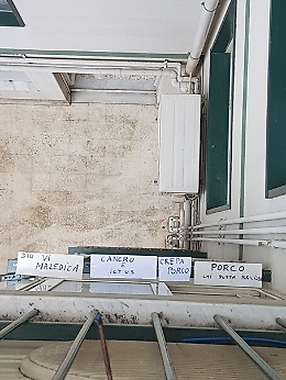 Catania, augurava cancro e ictus agli anziani vicini: denunciata