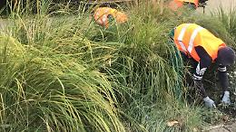 Palermo, operai del Comune al lavoro nella villa del dirigente