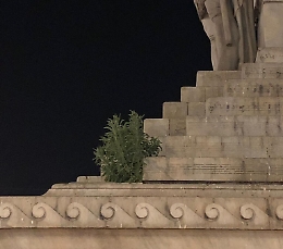 Catania: il monumento a  V. Bellini nel degrado.