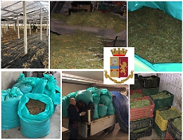 Gela: nelle campagne ad Acate è stato trovato il magazzino dello spaccio