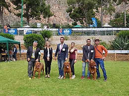 Torna a Palermo l’Esposizione Internazionale Canina