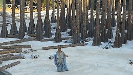 "Troiane", sullo sfondo di un bosco "morto" la speranza che va oltre le rovine