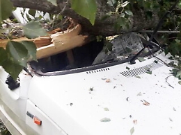 Fiumedinisi, albero di pioppo si spezza e piomba su giovane automobilista