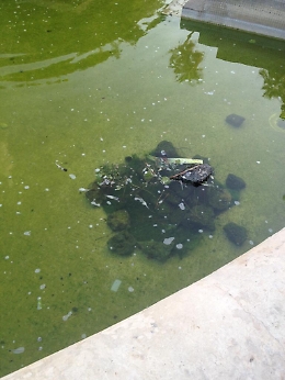 Catania: fontana della Villa Bellini. "Non esistono parole!"