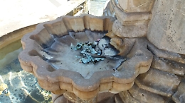 Catania, Piazza Duomo: "La fontana del Liotro ridotta una sporcizia"