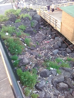 Il lungomare di Catania, una vergogna di rifiuti