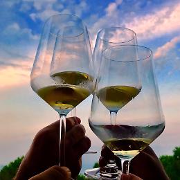 ViniMilo entra nel vivo: niente plastica ma calici di vetro