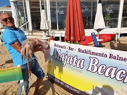 Spiaggiato un totano gigante a pochi passi dalla Scala dei Turchi