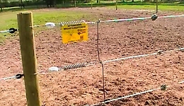 Messina, uomo muore folgorato dalla recinzione elettrica per i cinghiali