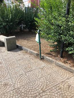 Catania: vegetazione trascurata in Via San Nicolò al Borgo