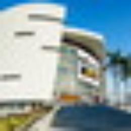 Sito porno americano ha offerto 10 milioni di dollari per dare il proprio nome all'Arena dei Miami Heat