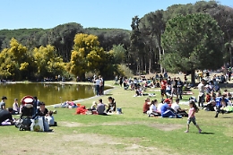 Catania: in vendita il boschetto della Plaia. Pogliese protesta