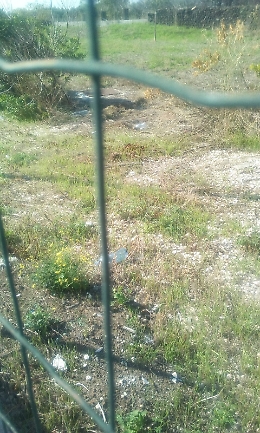 Catania, San Nullo: aree verdi da ripulire in via Alan Turing