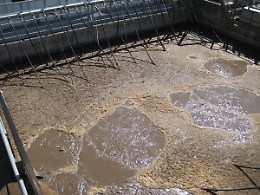 Il Noe: «In Sicilia 95% impianti depurazione acque con permessi scaduti»