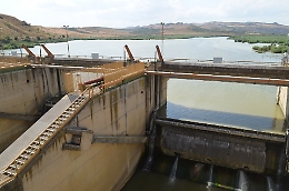 La strage di pesci nell'area protetta di Ponte Barca a Paternò