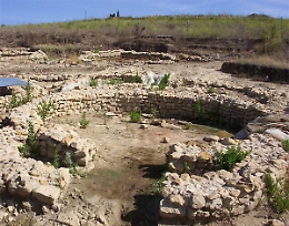 Rogo nell'area archeologica di Mokarta. Il sindaco: «Gesto vigliacco»